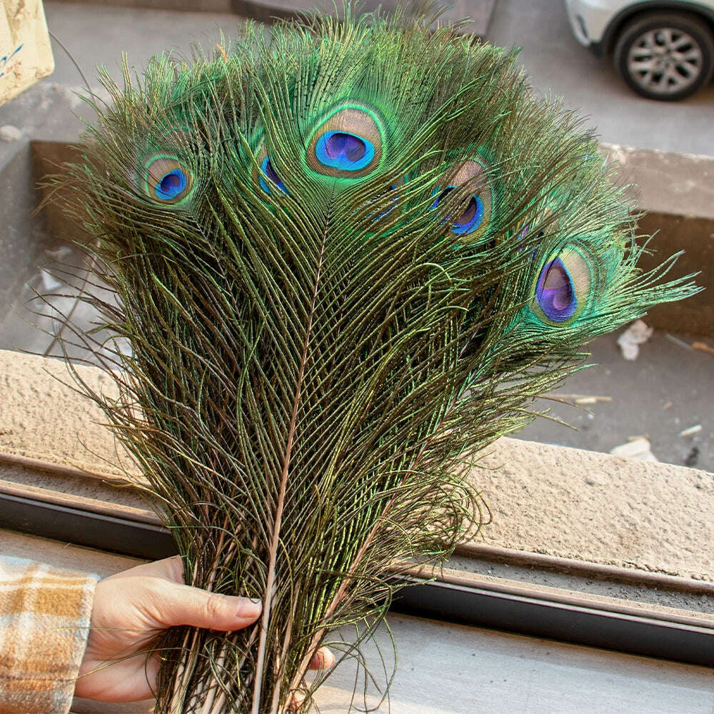 10PCS Real Peacock Feather 25-50cm for DIY Craft Jewelry Vase Table Decor Plume stage perform Wedding clothing Dress Accessories 10PCS Real Peacock Feather 25-50cm for DIY Craft Jewelry Vase Table Decor Plume stage perform Wedding clothing Dress Accessories